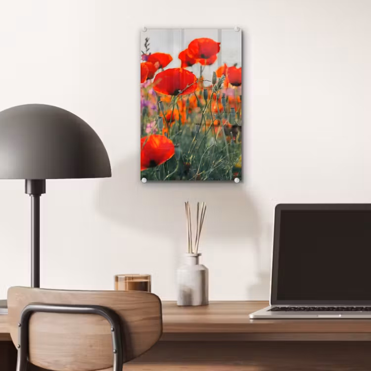 Glas schilderij - Klaproos - Bloemen - Rood - Paars - Weide — 7