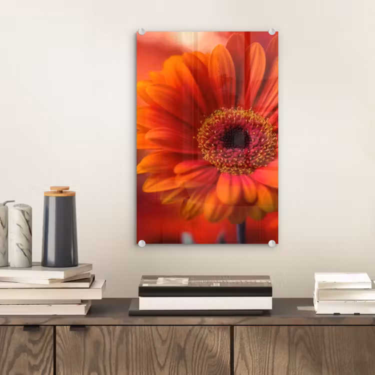 Glas schilderij - Oranje - Gerbera - Intens — 2