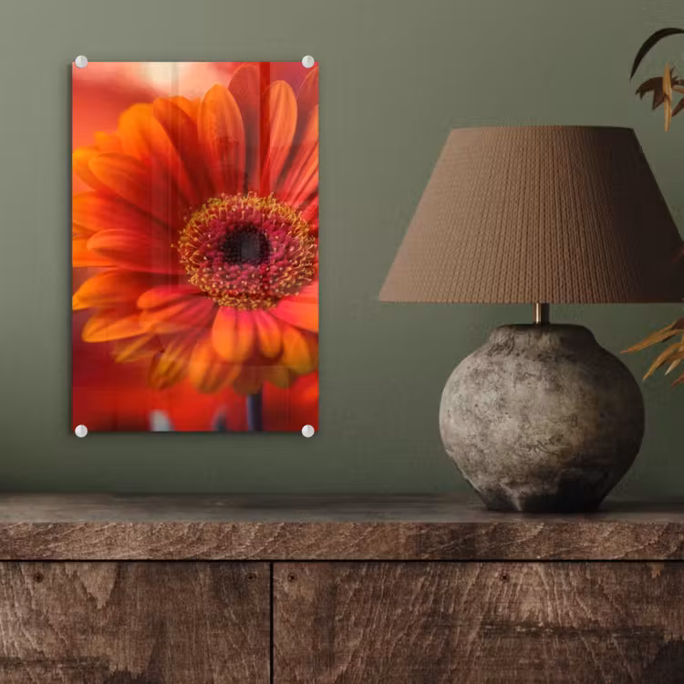 Glas schilderij - Oranje - Gerbera - Intens — 4