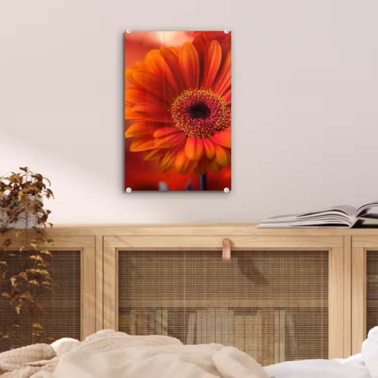 Glas schilderij - Oranje - Gerbera - Intens — 5