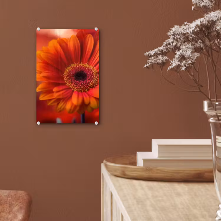 Glas schilderij - Oranje - Gerbera - Intens — 6