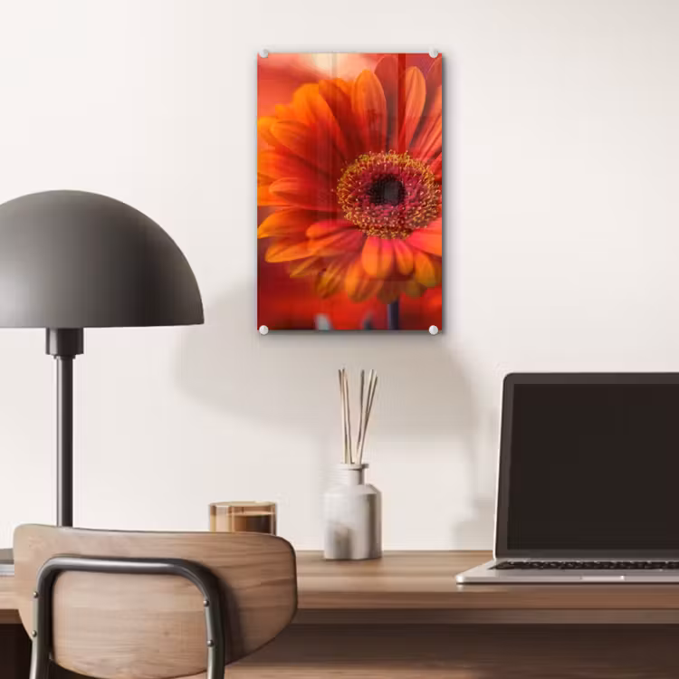 Glas schilderij - Oranje - Gerbera - Intens — 7