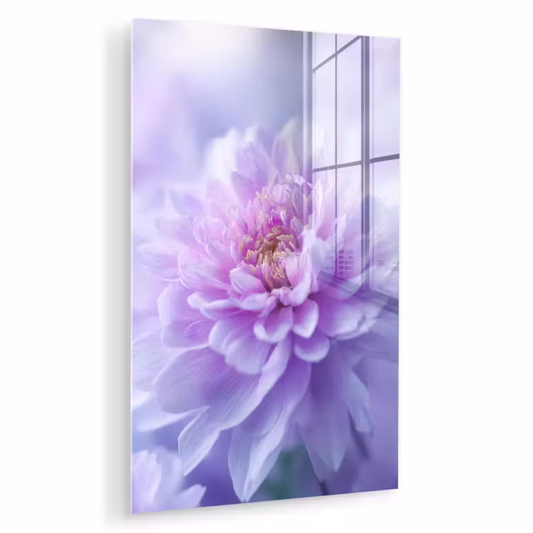 Glas schilderij - Paars - Dahlia - Dromerig — 1