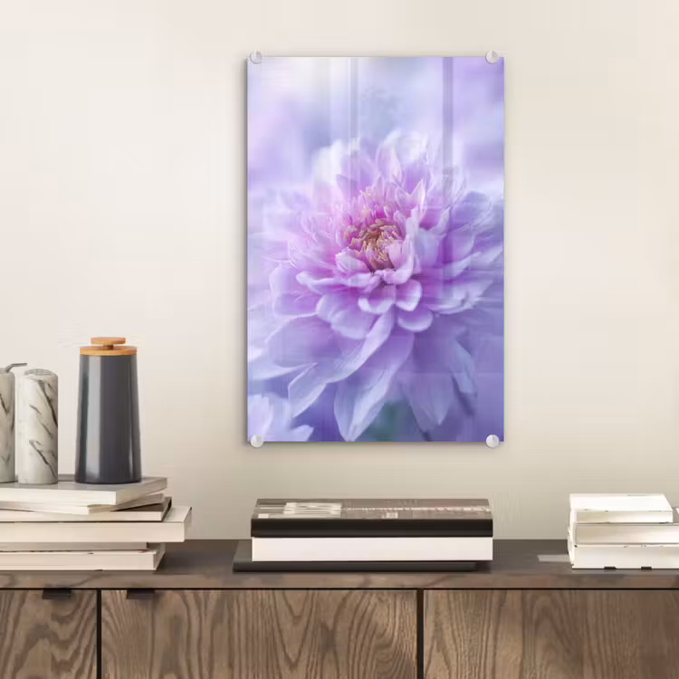 Glas schilderij - Paars - Dahlia - Dromerig — 2