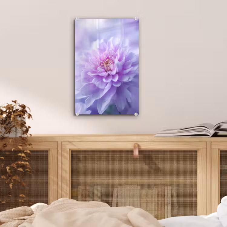 Glas schilderij - Paars - Dahlia - Dromerig — 5