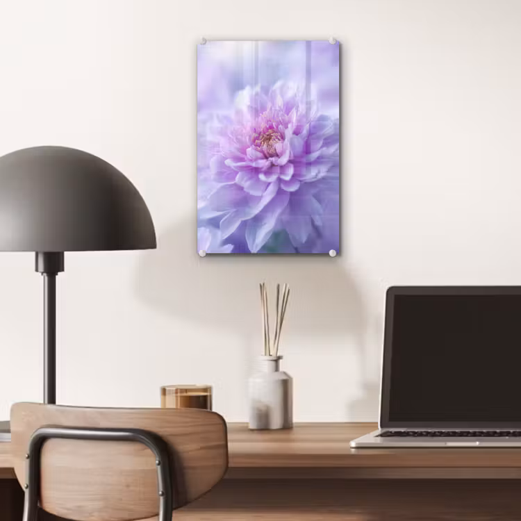 Glas schilderij - Paars - Dahlia - Dromerig — 7