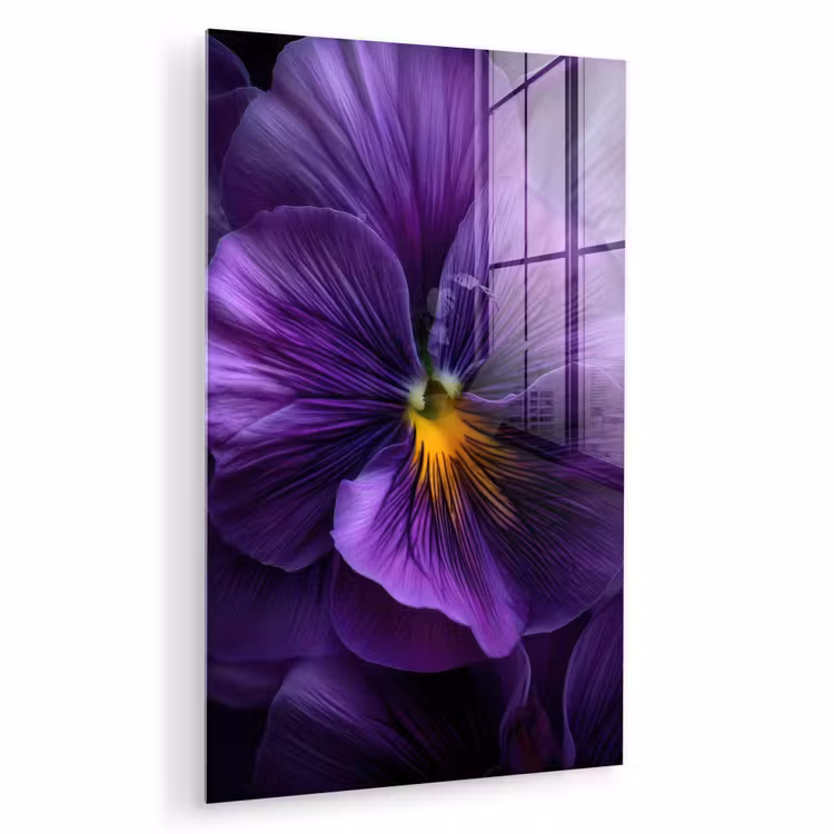 Glas schilderij - Paars - Viool - Diepte — 1