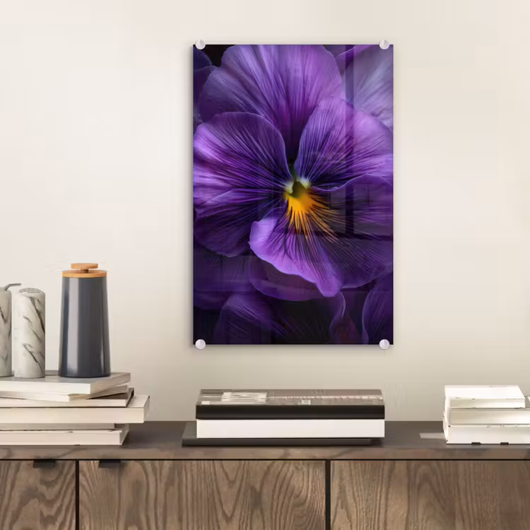 Glas schilderij - Paars - Viool - Diepte — 2