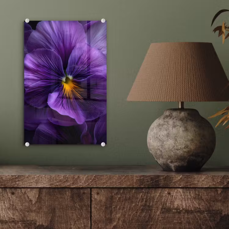 Glas schilderij - Paars - Viool - Diepte — 4