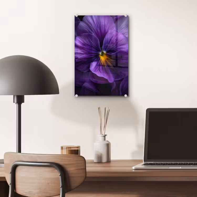 Glas schilderij - Paars - Viool - Diepte — 7
