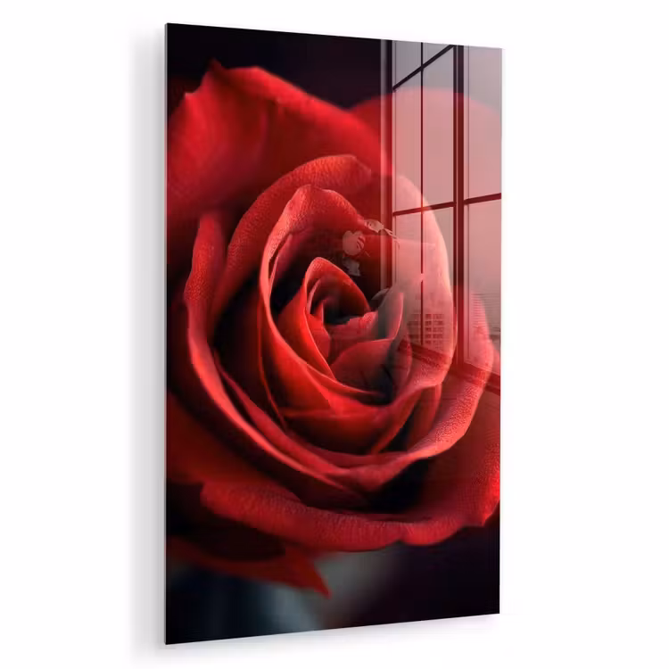 Glas schilderij - Rood - Roos - Romantisch — 1