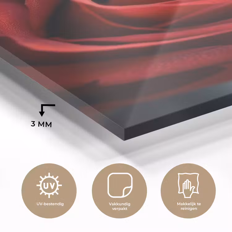 Glas schilderij - Rood - Roos - Romantisch — 3