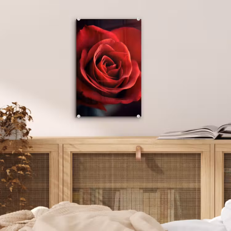 Glas schilderij - Rood - Roos - Romantisch — 5