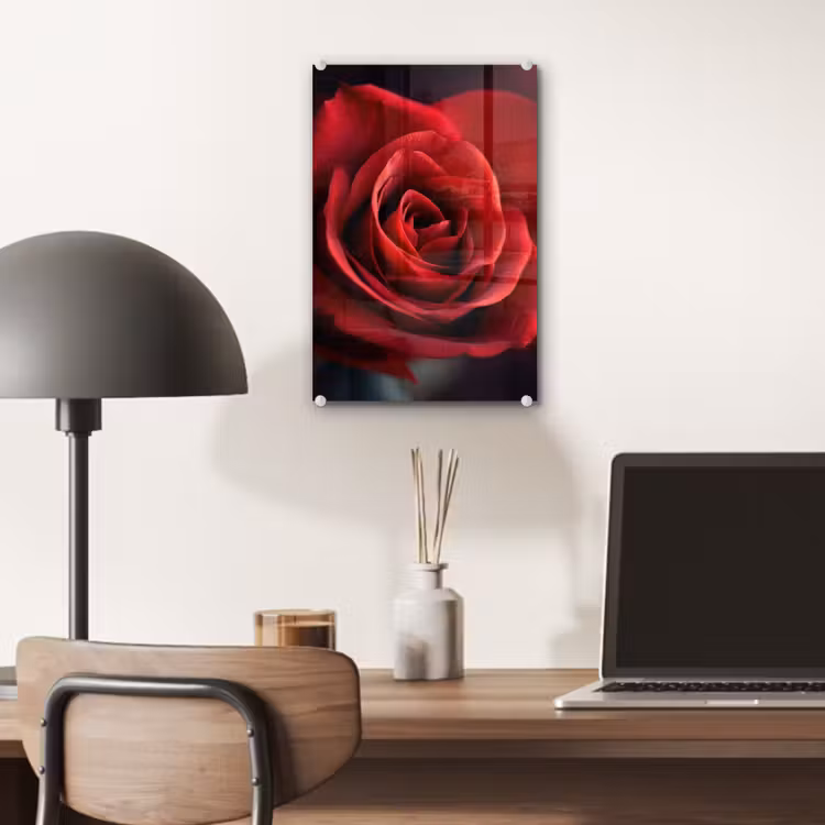 Glas schilderij - Rood - Roos - Romantisch — 7