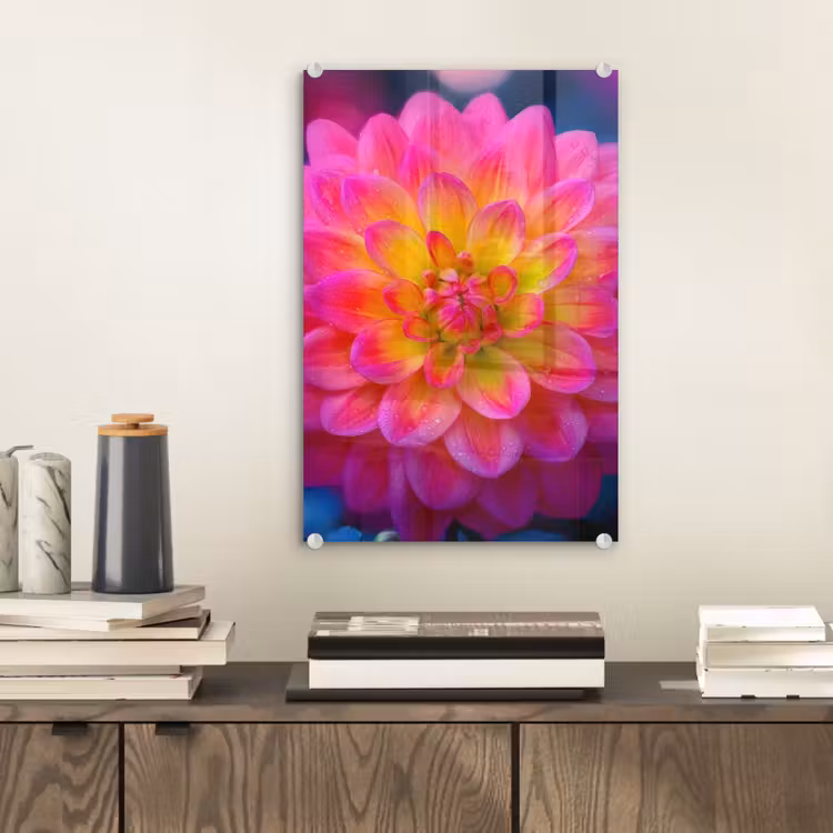 Glas schilderij - Roze - Dahlia - Kleurrijk — 2