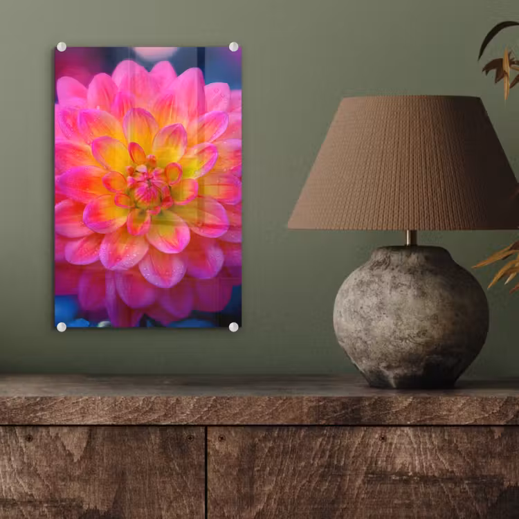 Glas schilderij - Roze - Dahlia - Kleurrijk — 4
