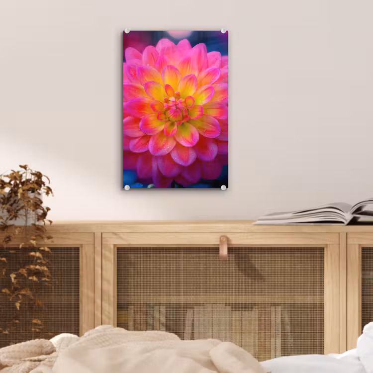 Glas schilderij - Roze - Dahlia - Kleurrijk — 5