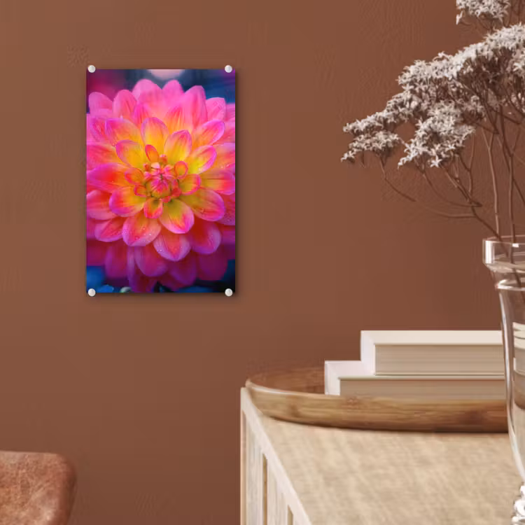 Glas schilderij - Roze - Dahlia - Kleurrijk — 6