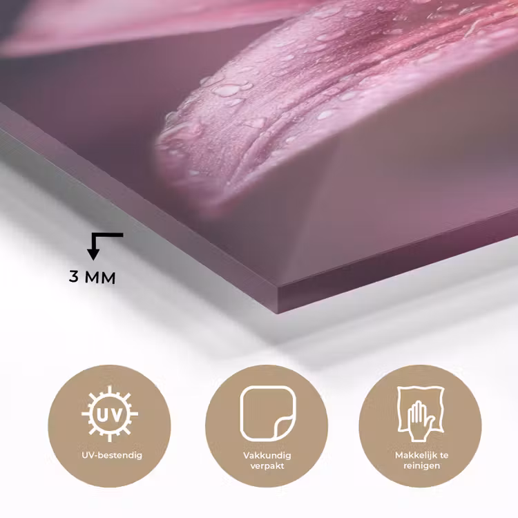 Glas schilderij - Roze - lelie - Dauwdruppels — 3