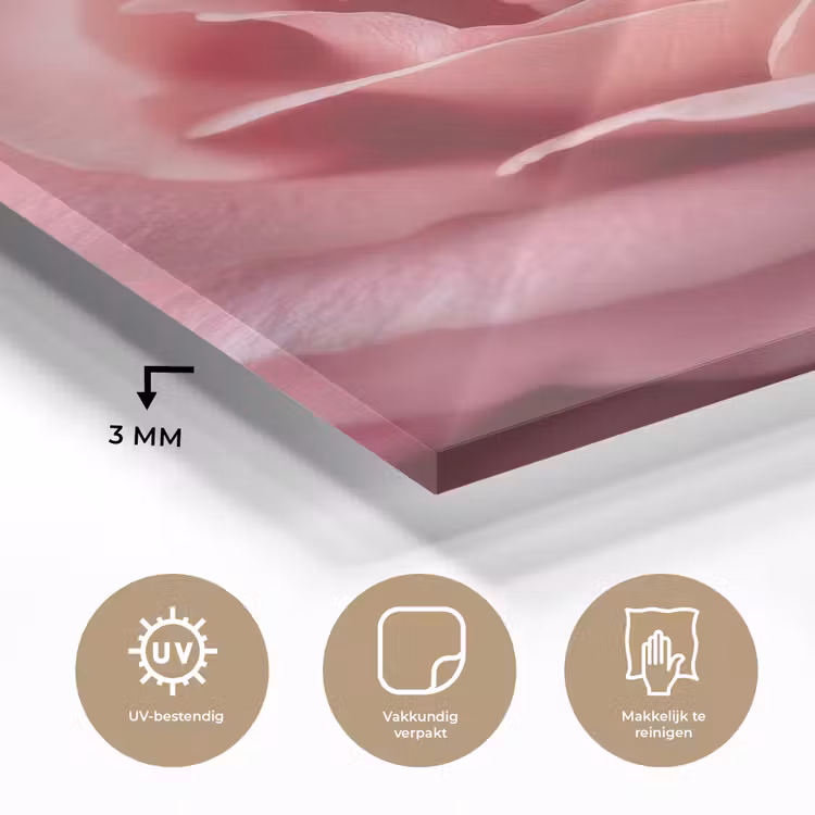 Glas schilderij - Roze - Roos - Romantisch — 3
