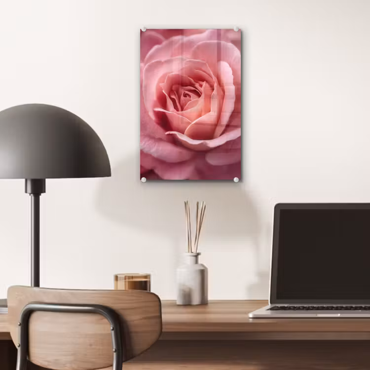 Glas schilderij - Roze - Roos - Romantisch — 7