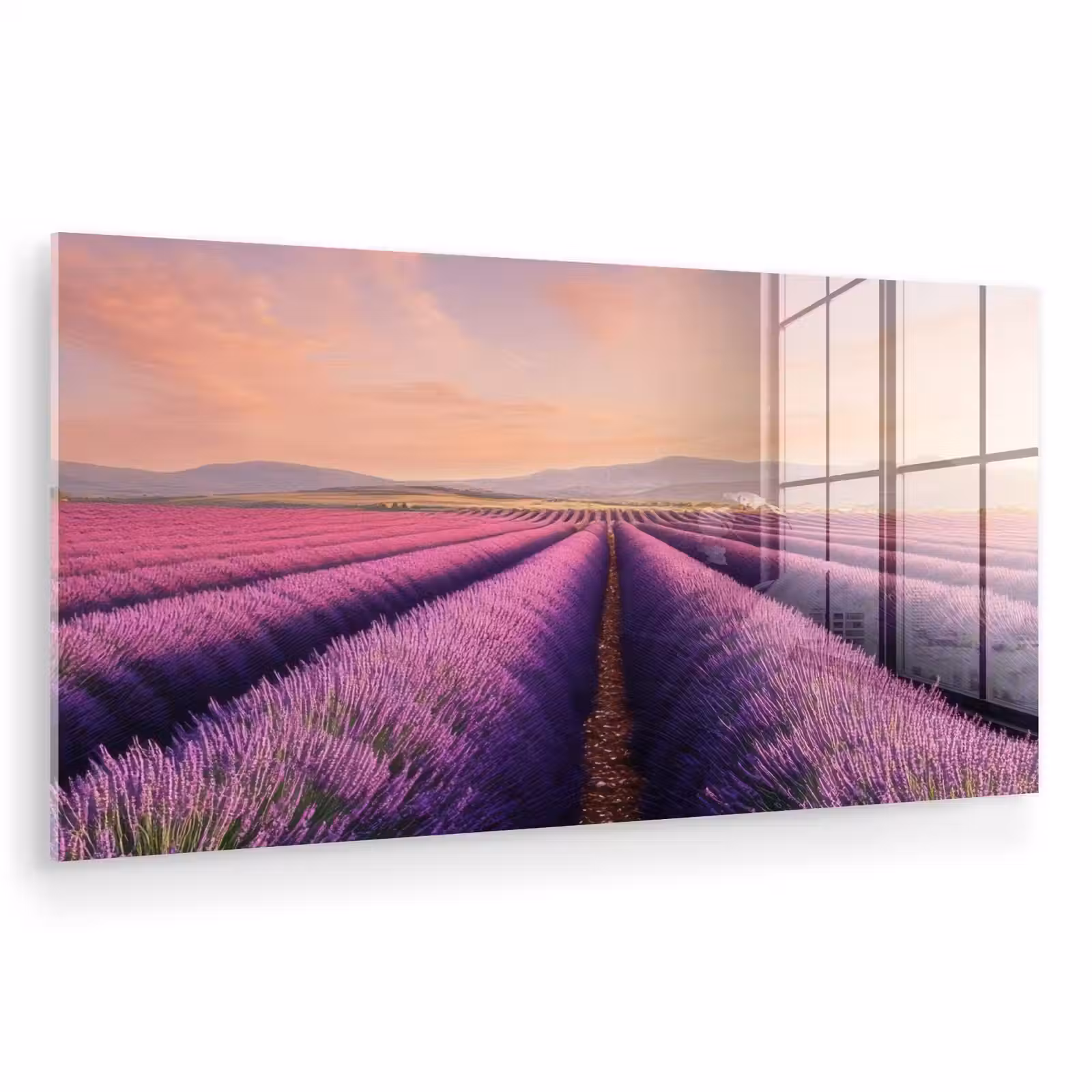 Glas schilderij - Lavendelveld - Zonsondergang - Paars - Bloemen — 1