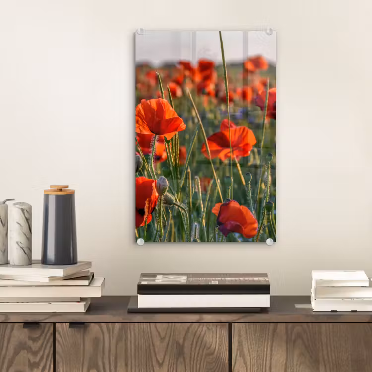 Glas schilderij - Bloemen - Klaprozen - Natuur - Rood — 2