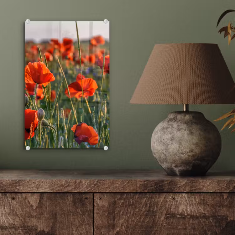 Glas schilderij - Bloemen - Klaprozen - Natuur - Rood — 4