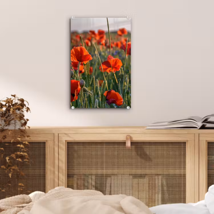 Glas schilderij - Bloemen - Klaprozen - Natuur - Rood — 5