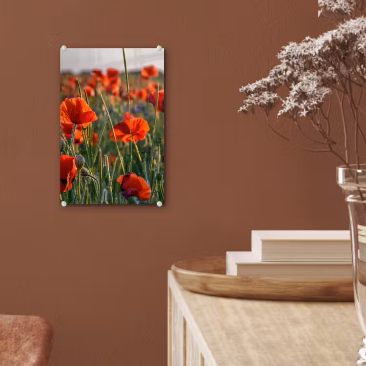 Glas schilderij - Bloemen - Klaprozen - Natuur - Rood — 6