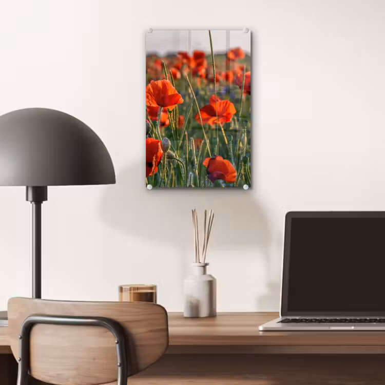 Glas schilderij - Bloemen - Klaprozen - Natuur - Rood — 7