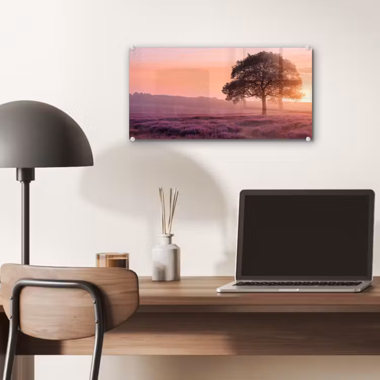 Glas schilderij - Boom - Heide - Zonsopgang — 7