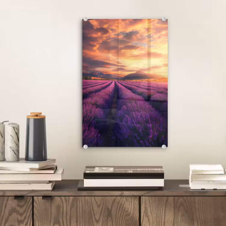 Glas schilderij - Lavendelveld - Zonsondergang - Paars — 2