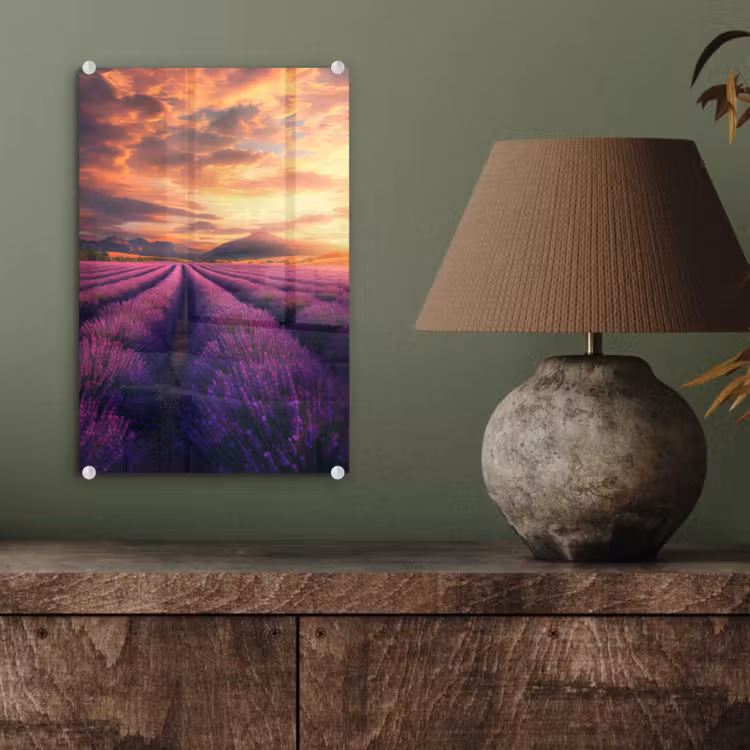 Glas schilderij - Lavendelveld - Zonsondergang - Paars — 4