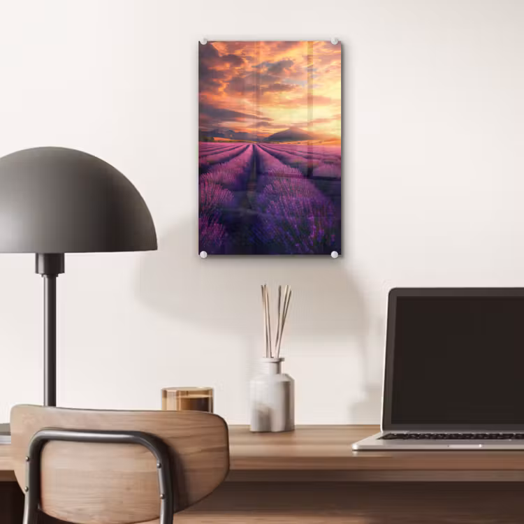 Glas schilderij - Lavendelveld - Zonsondergang - Paars — 7