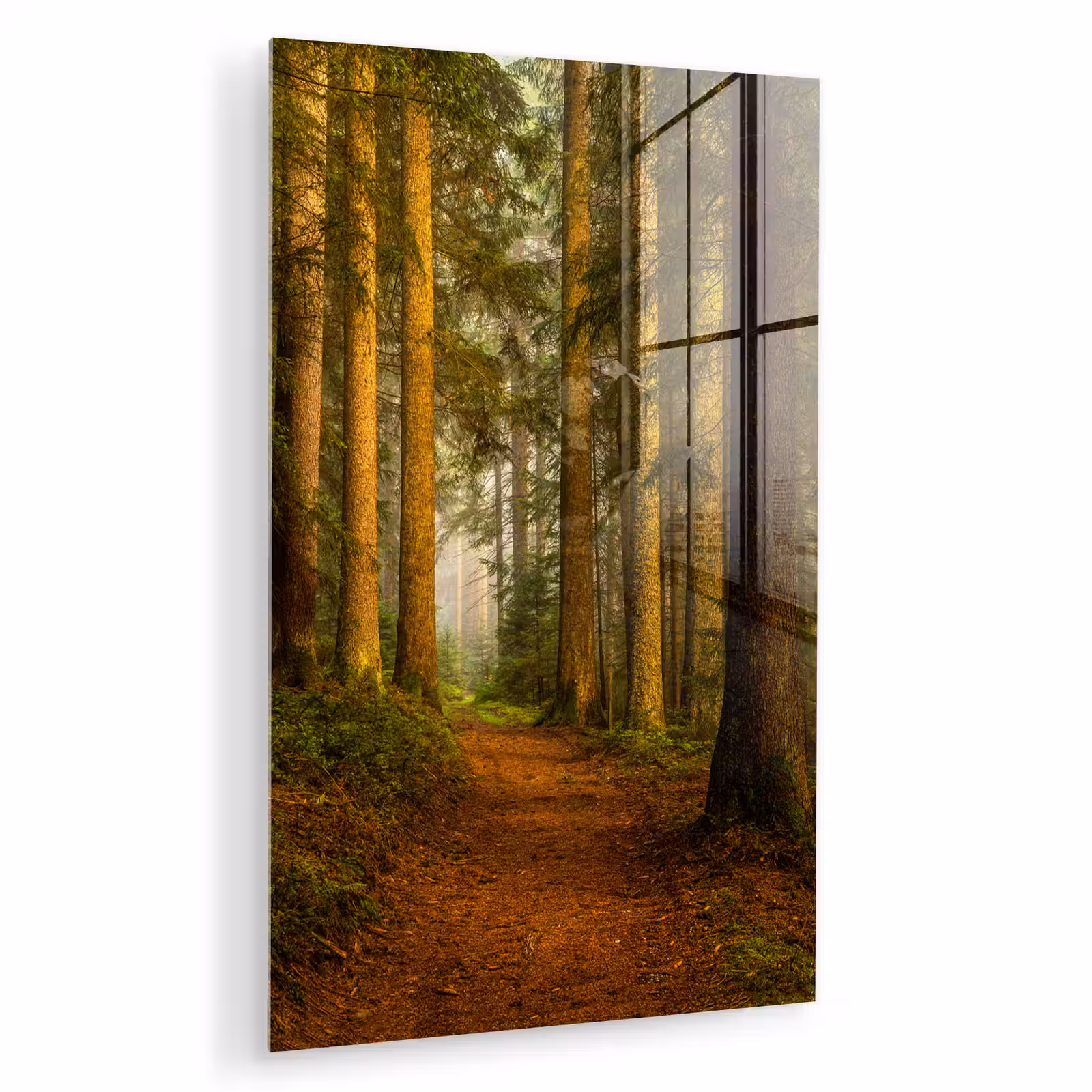 Glas schilderij - Bos - Natuur - Bomen - Landschap - Bladeren — 1