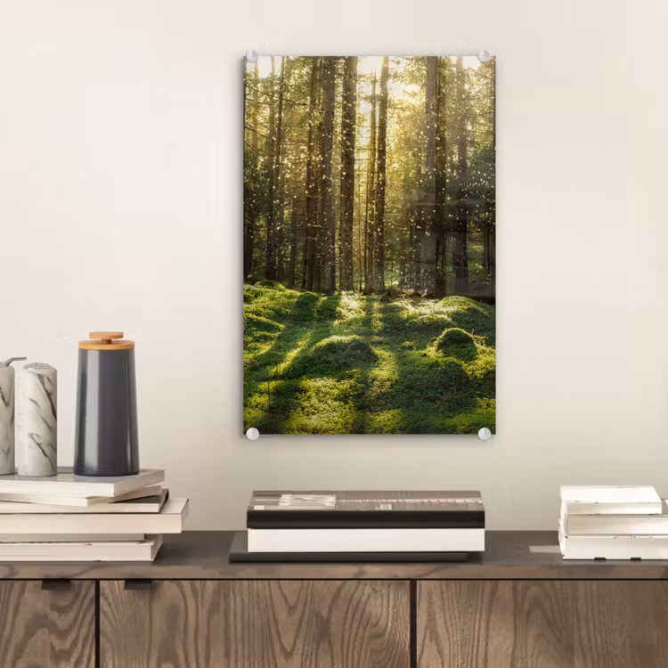 Glas schilderij - Bomen - Bos - Mos - Planten - Zon - Natuur — 2