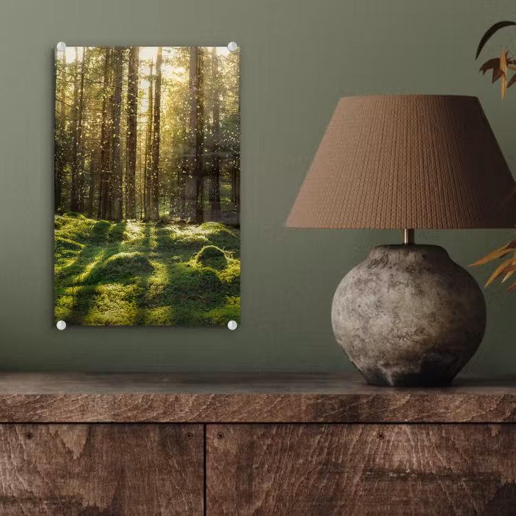 Glas schilderij - Bomen - Bos - Mos - Planten - Zon - Natuur — 4