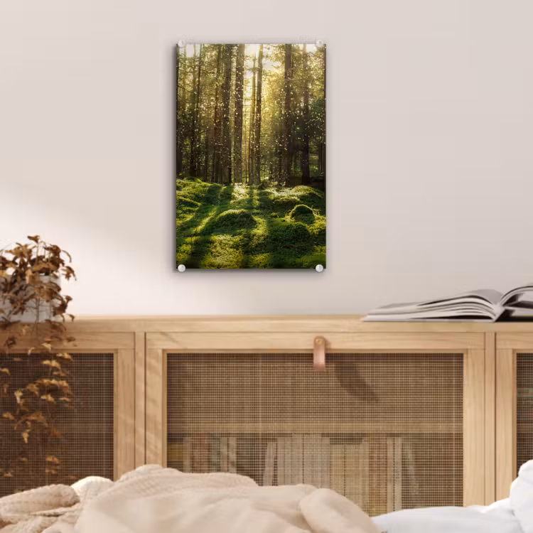 Glas schilderij - Bomen - Bos - Mos - Planten - Zon - Natuur — 5