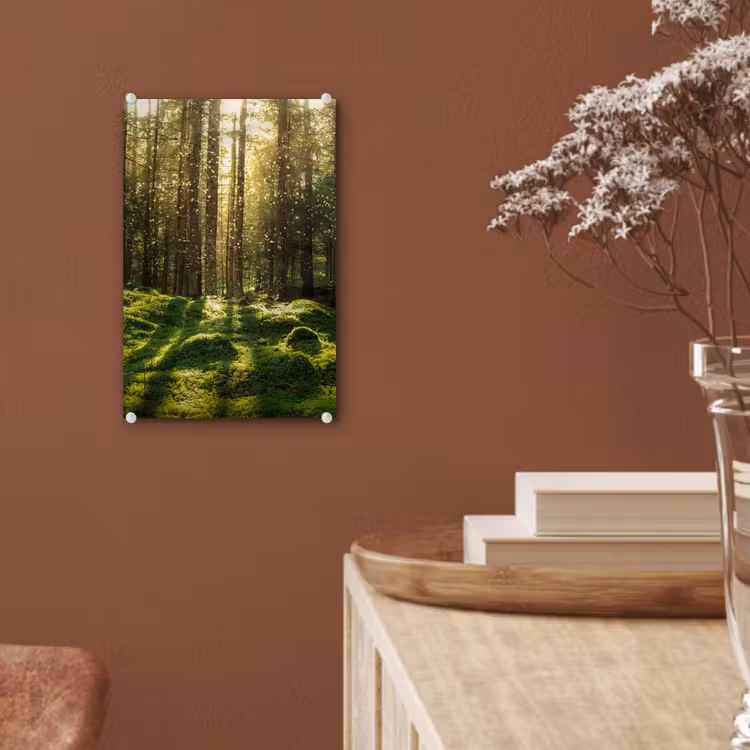 Glas schilderij - Bomen - Bos - Mos - Planten - Zon - Natuur — 6