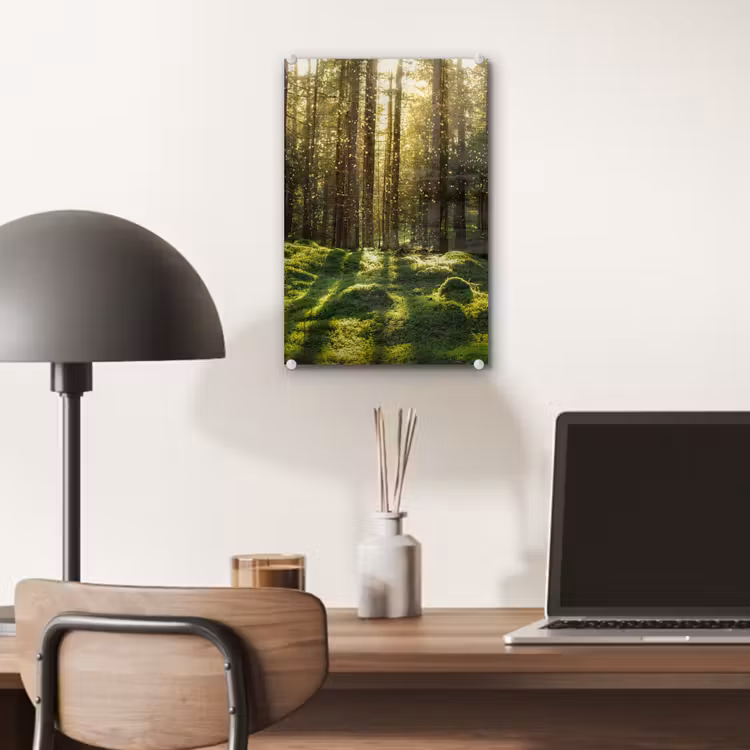 Glas schilderij - Bomen - Bos - Mos - Planten - Zon - Natuur — 7