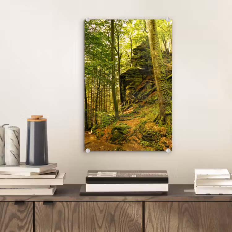 Glas schilderij - Bomen - Steen - Bos - Natuur - Planten — 2