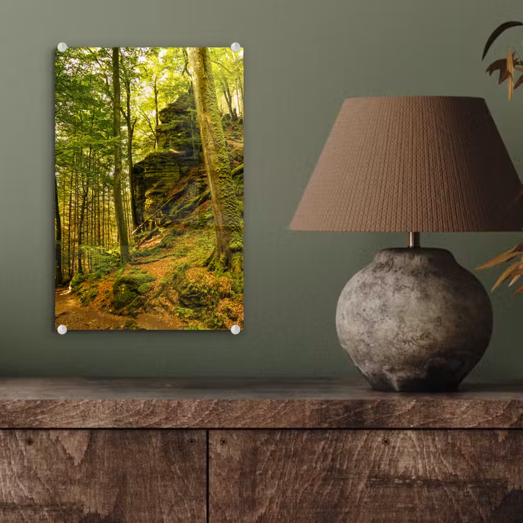 Glas schilderij - Bomen - Steen - Bos - Natuur - Planten — 4