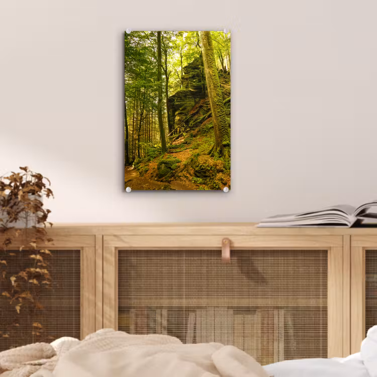 Glas schilderij - Bomen - Steen - Bos - Natuur - Planten — 5