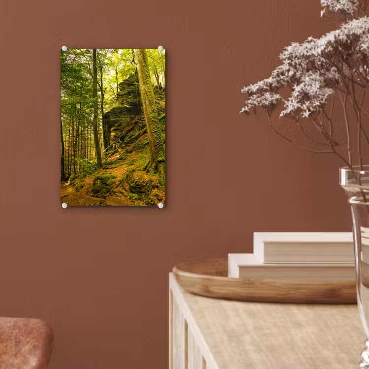 Glas schilderij - Bomen - Steen - Bos - Natuur - Planten — 6