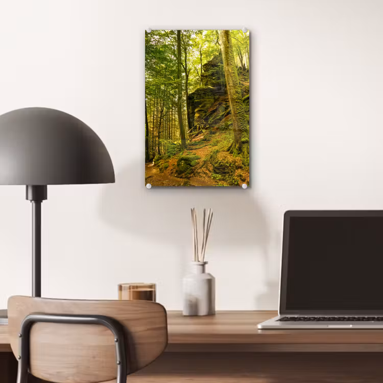 Glas schilderij - Bomen - Steen - Bos - Natuur - Planten — 7
