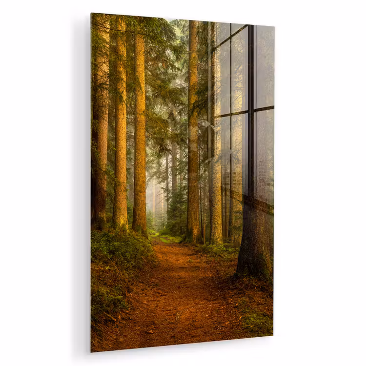 Glas schilderij - Bos - Natuur - Bomen - Landschap - Bladeren — 1