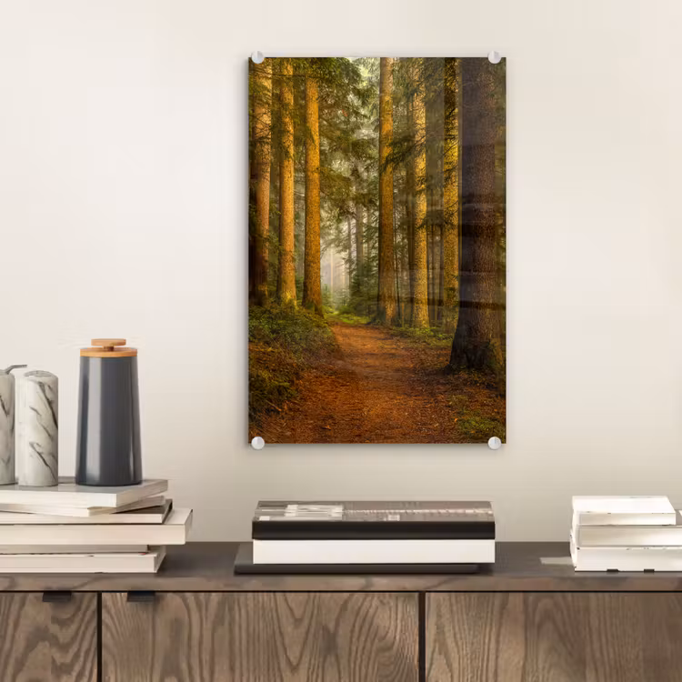 Glas schilderij - Bos - Natuur - Bomen - Landschap - Bladeren — 2