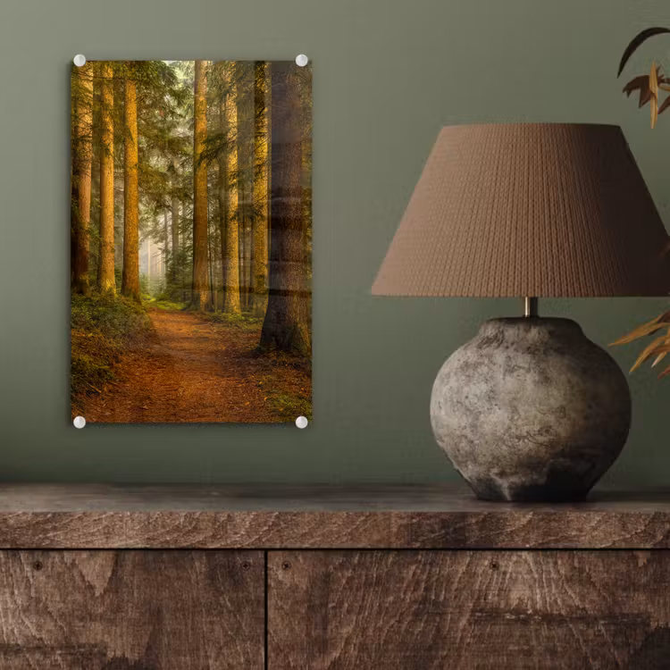 Glas schilderij - Bos - Natuur - Bomen - Landschap - Bladeren — 4