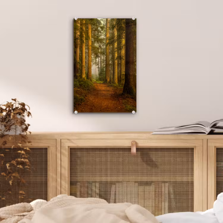Glas schilderij - Bos - Natuur - Bomen - Landschap - Bladeren — 5